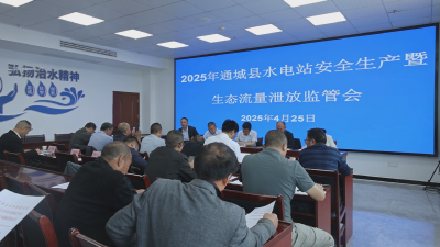 通城县召开2025年水电站安全生产暨生态流量泄放监管工作会议