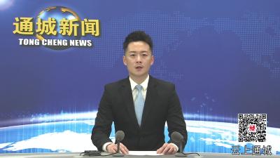 视频-澳大利亚楚商联合会会长李治峰一行来通城考察