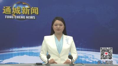 视频-杨修伟调研高标准农田建设工作 
