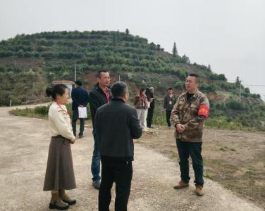 通城县大坪乡开展“聚力支点建设·共建秀美大坪”代表行动