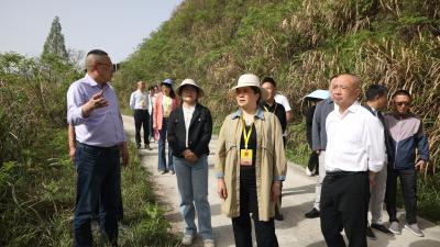通城县人大常委会调研全县生态环境保护和饮用水源地保护工作