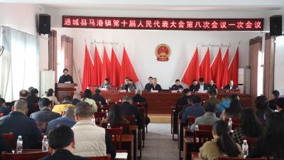 通城县马港镇第十届人民代表大会第八次会议召开