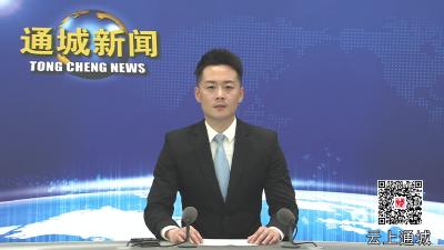 视频-市人大常委会来通城调研法院执行和检察院刑罚执行监督工作