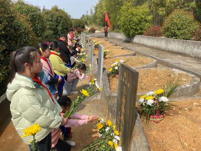 通城县大坪乡杨部小学：缅怀先烈寄哀思，清明祭扫传精神