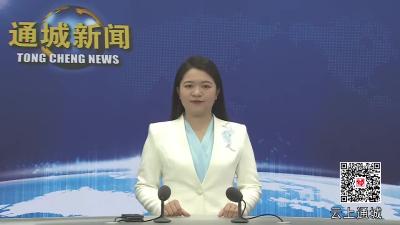 视频-2025年第2次通城县政府全体（扩大）会议暨政府系统廉政工作会议召开 