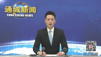 视频-“当好支点建设生力军 加快打造武汉都市圈绿色发展重要增长极”系列主题新闻发布会通城专场在咸宁市举行