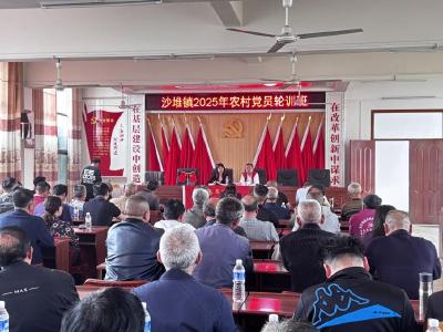 通城县沙堆镇举办2025年农村党员轮训班