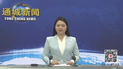 视频-通城县北港镇第十五届人民代表大会第八次会议召开