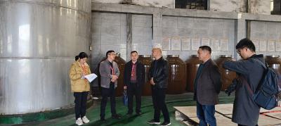 北港镇人大代表聚力行动：共谋发展支点 绘就隽秀通城新图景