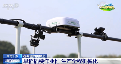 机械化、数字育秧、产业延伸 科技助力为农业生产装上了“智慧大脑”