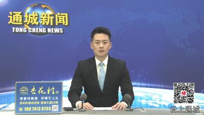 视频-通城县开展2025年防汛抗旱、河湖长制暨安全饮水知识专题培训