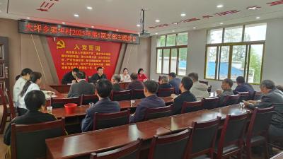 通城县大坪乡：深学笃行强根基 凝心聚力创五好