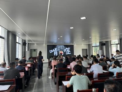 通城县塘湖镇召开2025年群众身边不正之风和腐败问题集中整治推进会