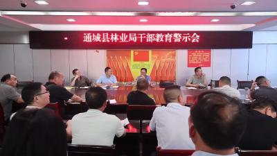视频-通城县林业局召开干部警示教育会议 