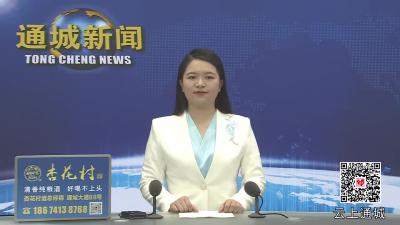视频-咸宁市（通城）楚商联合会第一次代表会议召开 