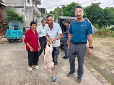湖北体育职业学院驻通城县沙堆镇港背村工作队：产业帮扶 助力乡村振兴