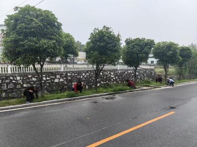 通城县沙堆镇：扮靓家园迎五一，清洁行动正当时