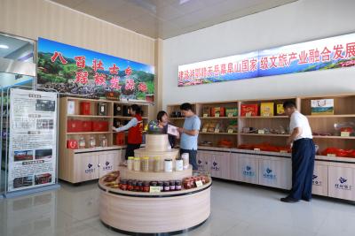 畅游通城 乐享高速 | 通城县举办助农土特产品展销与文旅宣传推介活动