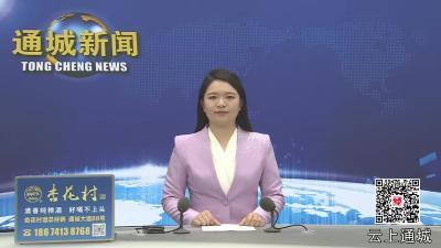 视频-通城县市场监督管理局开展“5·20世界计量日”宣传活动