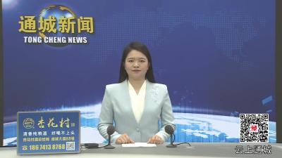 视频-通城县领导调研城区“断头路”打通工作