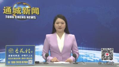 视频-十八而志 青春启航｜通城二中举行2025年高三成人礼活动 