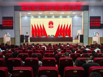 通城县四庄乡第十五届人民代表大会第七次会议召开