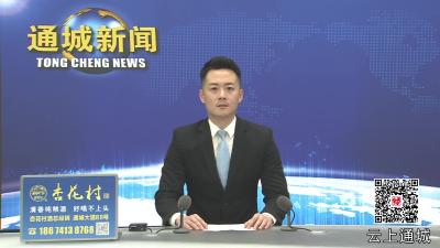 视频-通城县领导率队赴江苏省南通市招商考察
