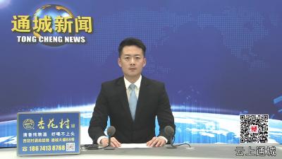 视频-通城：茶香漫道迎“村跑” 绿野逐光焕生机