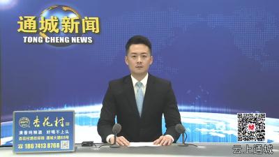 视频-晟雄新能源（湖北）有限公司钠（锂）电池pack项目签约落户通城
