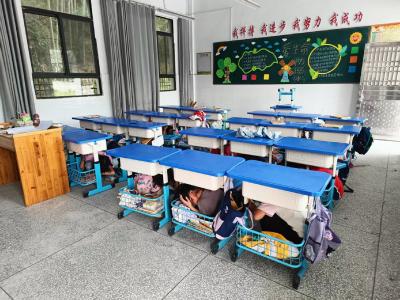 通城县沙堆镇天灯岭小学开展防震减灾逃生演练 筑牢校园安全防线