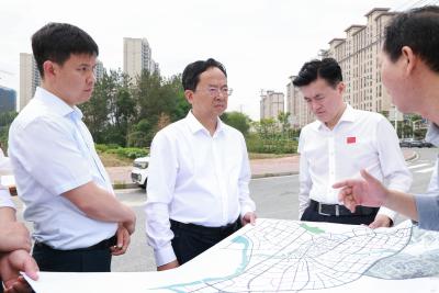 通城县领导调研城区“断头路”打通工作