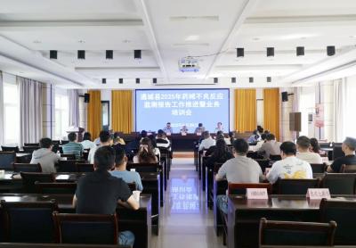 通城县2025年药械不良反应监测报告工作推进暨业务培训会召开