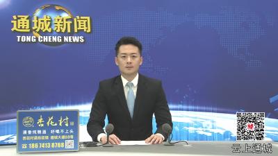 视频-省人大常委会调研组来通城调研养老服务工作