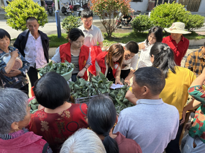 【我们的节日·端午】粽香里的党建温度：通城县委组织部织密社区