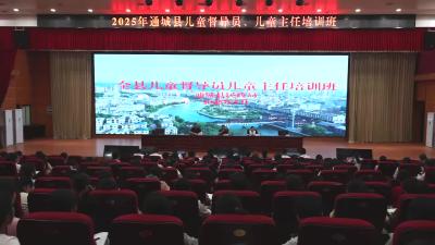 视频-通城县举行2025年儿童督导员、儿童主任培训会 