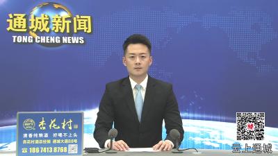 视频-通城县召开深化农村集体“三资”管理突出问题和乡村振兴资金使用监管突出问题专项整治工作推进会