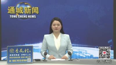 视频-通城县召开“前四楼”“前六楼”危房消危工作督办会 