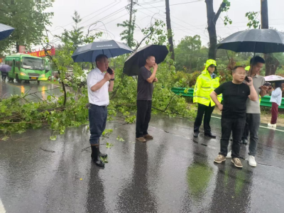 通城县石南镇人大：闻汛而动显担当  筑牢防线保民安