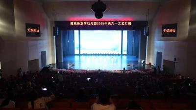 视频-通城县京学幼儿园举办庆“六一”文艺汇演 