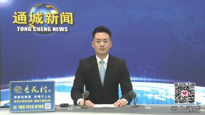 视频-通城县部署2025年中职招生工作