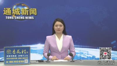 视频-鄂通两头乌猪新品种国家审定现场核验工作会在通城召开