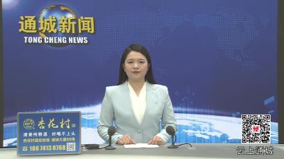 视频-市政协来通城县开展“凝炼地域文化核心标识 提升咸宁文化品牌影响力”协商课题调研 