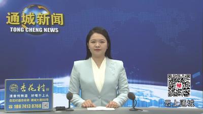 视频-咸宁市红十字会系统2025年年中工作推进会在通城召开