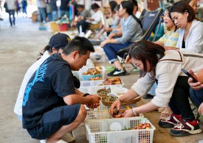 生活观察｜如何防范食用野生菌中毒？