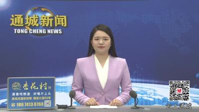 视频-通城县第十九届人大常委会第二十一次全体会议召开 