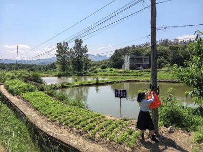 通城县五里镇：齐心护当“夏”，织牢防溺水“安全网”