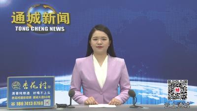 视频-咸宁市全省离退休干部暨老干部工作先进集体和先进个人事迹巡回报告会（通城专场）召开 
