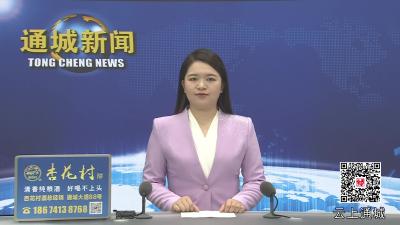 视频-通城县部署2025年住户调查周期内样本轮换工作