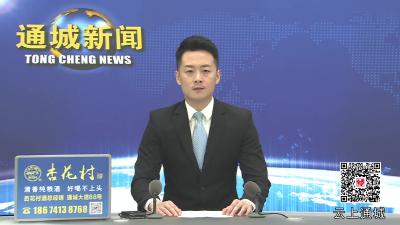 视频-通城县五里镇尖山村举办“兴贤夜诵·新风漾尖山”移风易俗暨“青年隽才”宣讲活动