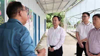 黄建平到五里、马港调研农业特色产业发展情况时强调：因地制宜做强特色产业 推动农业增效农民增收